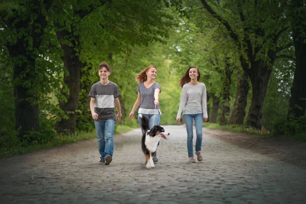 A parent and a teenager walking a dog on a quiet neighborhood sidewalk at dusk, both looking thoughtful
